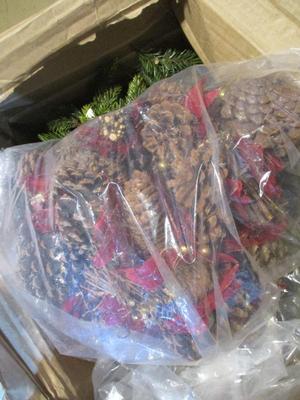 New Christmas Pine Cones & Mixed Pine Tree Tips