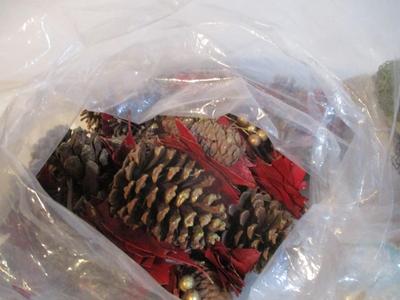 New Christmas Pine Cones & Mixed Pine Tree Tips