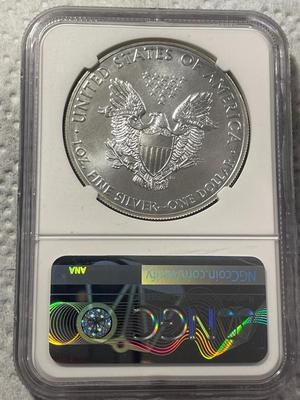 NGC CERTIFIED 2013 MS69 SILVER EAGLE DOLLAR AS PICTURED. FREE DOMESTIC SHIPPING.