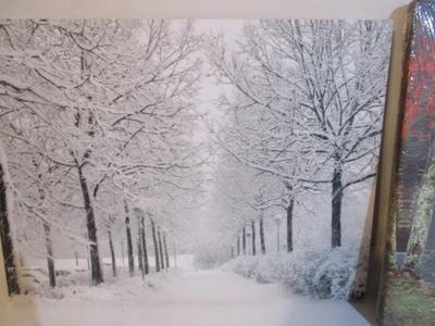 Canvas Light Up Snow Trees & Mill