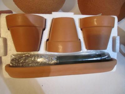Terracotta Planters