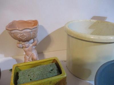 Decorative Flower Vases & Pots