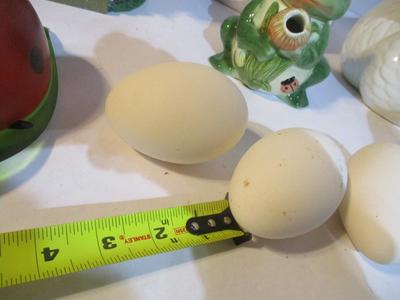New Goose Eggs & Planters Frog Decor & Swan Decor