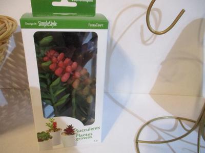 New Home Decor Signs & Ashland House Plants