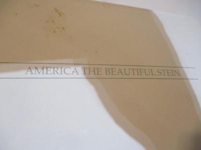 America The Beautiful Stein