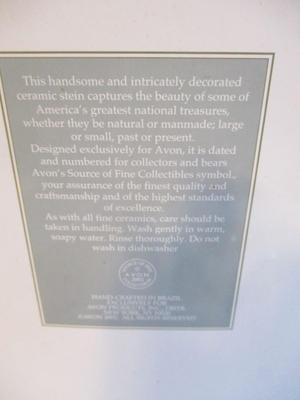 America The Beautiful Stein