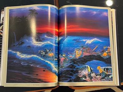 Beautiful, Bright lot of 2 coffee table books