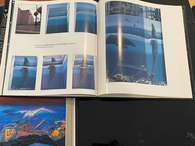 Beautiful, Bright lot of 2 coffee table books