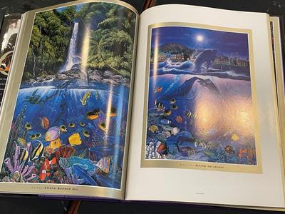 Beautiful, Bright lot of 2 coffee table books