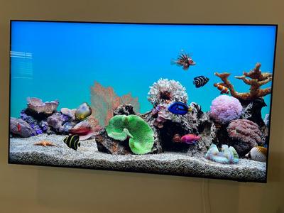 Samsung 65” Smart TV Model / MODELE NO.: QN65QN85AAF