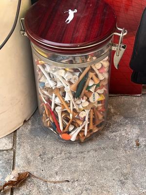 LOT 81G: Golf Collection - Bags, Clubs, Balls, Tees, Trainers, Travel Bag