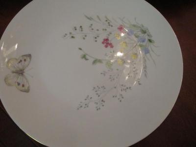 Seltmann Weiden Bavaria "Monika" & Winterling Marktleuthen China Plates