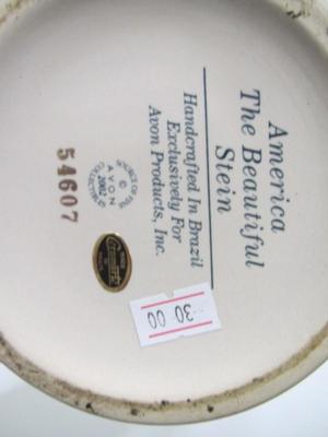 America The Beautiful Stein
