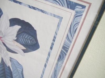Framed Magnolia Prints Approx 28" x 23 1/2"