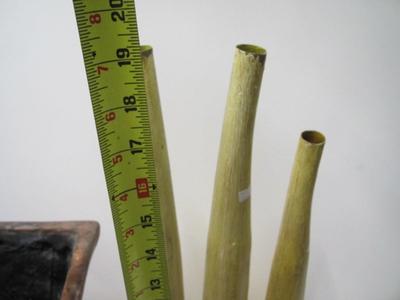 Assortment Of Vases & Pots