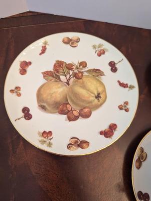 Winterling Bavaria Germany - Set Of 4 China Fruit & Nut Pattern Salad Plates