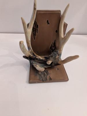 Deer Antler Bookends