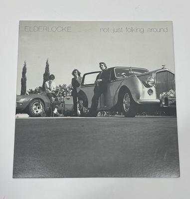 Vintage 33RPM Vinyl Album by Elderlocke: Not Just Folking Around