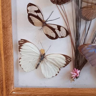 LOT 18: Vintage Framed Butterfly Taxidermy, Lily Alexander Signed Art Plate, Daher Tin & More