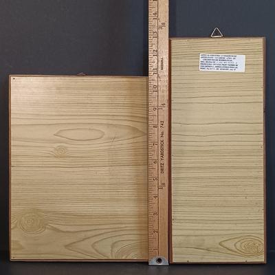 LOT 18: Vintage Framed Butterfly Taxidermy, Lily Alexander Signed Art Plate, Daher Tin & More