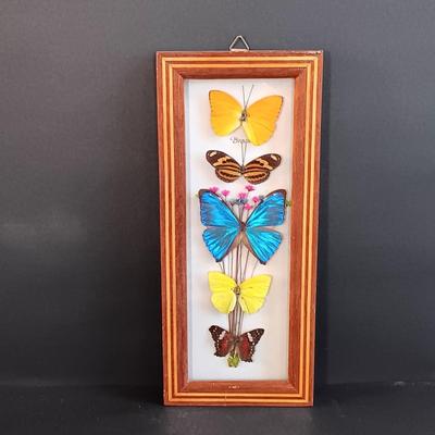 LOT 18: Vintage Framed Butterfly Taxidermy, Lily Alexander Signed Art Plate, Daher Tin & More