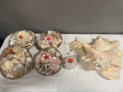 Four baskets of shells with a few others