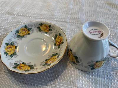 Turkeys and one teacup