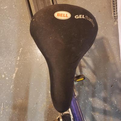 Trek-Navigator 400 Bike (B3-KD)
