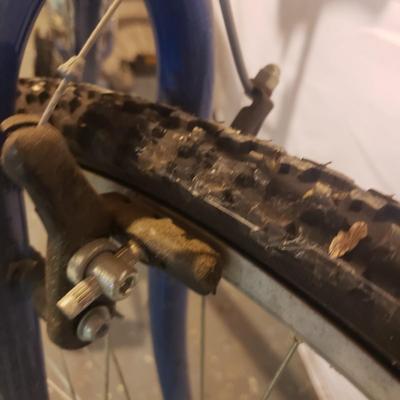 Magna-Glacier Point 15 Speed Bike (B3-KD)