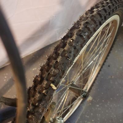 Magna-Glacier Point 15 Speed Bike (B3-KD)