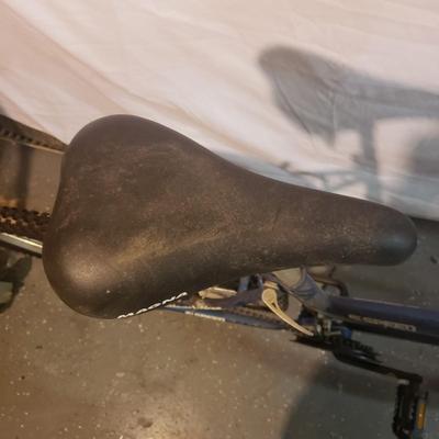 Magna-Glacier Point 15 Speed Bike (B3-KD)