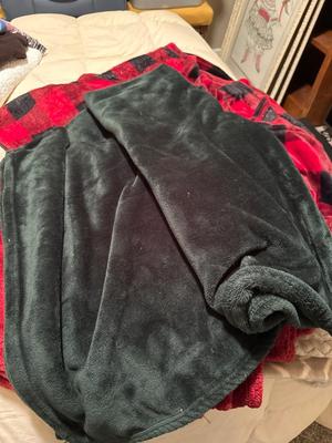 Blanket Lot!