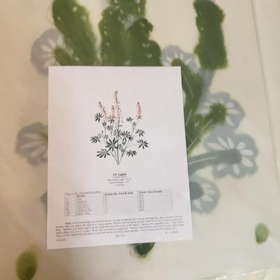 Stencils, Learn to Paint, Brushes & Acrylic Paints (B4-KD)