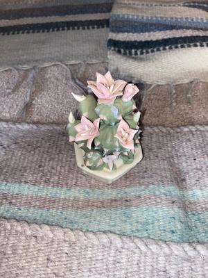 SOUTHWESTERN THEMED RUGS & DECOR