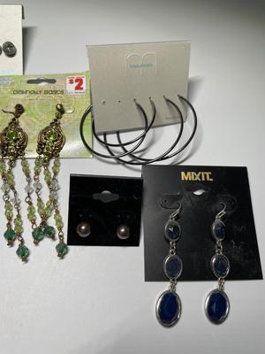 Pierced earrings (18)
