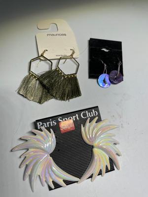 Pierced earrings (14)