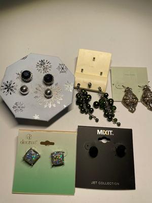 Pierced earrings (15)