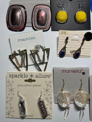 Pierced earrings (15)