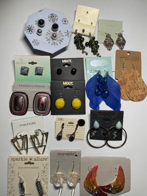 Pierced earrings (15)