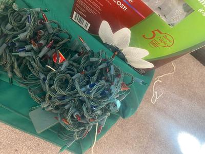 100 SOLAR LED NO ENERGY COST CHRISTMAS LIGHTS AND MORE!