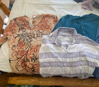 LADIES, SHIRTS, AND BLOUSES SIZE LARGE