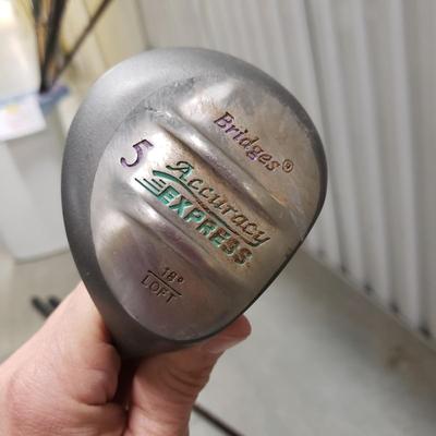 Assorted Golf Clubs - McGill, Bridges & More (1018CR-ES)