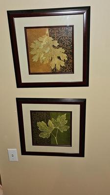 Two framed wall art pictures - Monterrey Leaf study