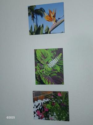 Three canvass floral wall art