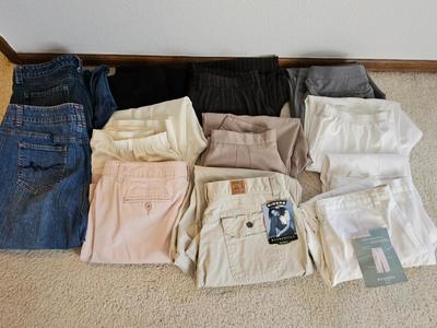 Women's pants - slacks - Lee - Alfred Dunner - and others Size 16 some new with tags!