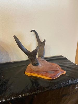 PAINTED GOURD AND MOUNTED HORNS