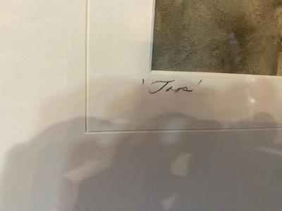 FRAMED SIGNED ART WORK
