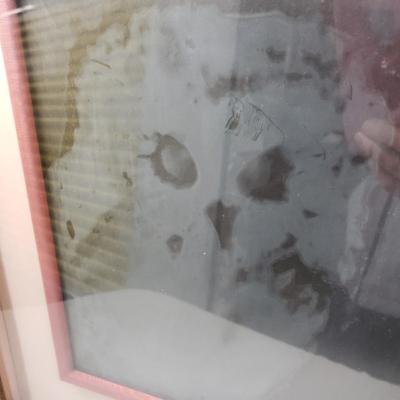 Owl Print in Frame (1008-KD)