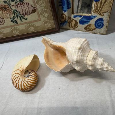 Shell-Themed Home Decor (1020FR-ES)