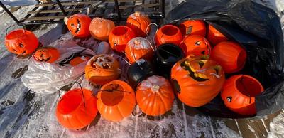 Pumpkins galore